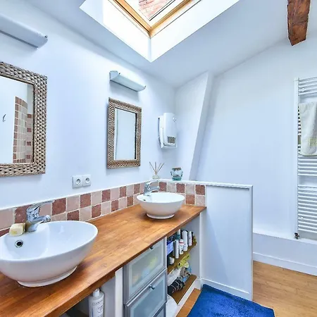 Of 75m²under The Attic With Terrace Toulouse