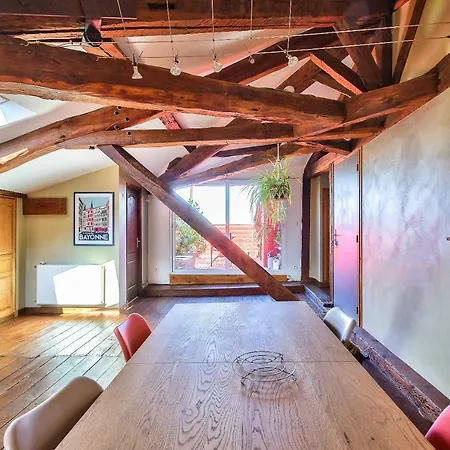 Of 75m²under The Attic With Terrace Апартаменты Тулуза