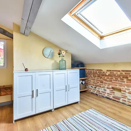 Of 75m²under The Attic With Terrace Toulouse
