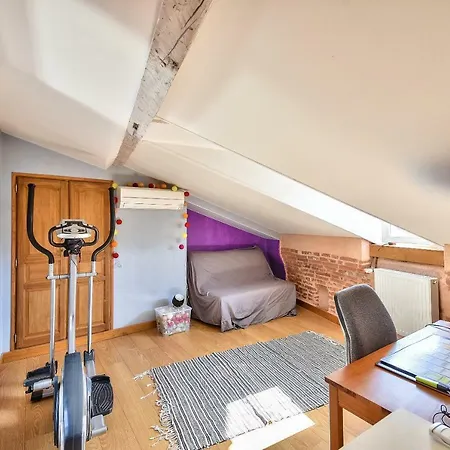 Of 75m²under The Attic With Terrace Apartmán Toulouse